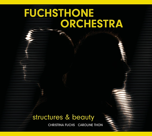 CD Cover "Structures & Beauty" vom FUCHSTHONE ORCHESTRA