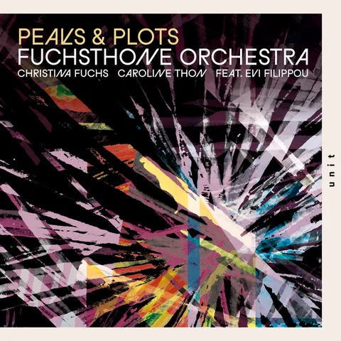 PEAKS & PLOTS Fuchsthone CD-Release '26
